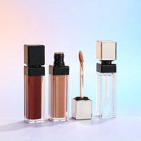 Brillant à lèvres transparent étanche luxe lèvre usine bricolage rouge à lèvres Tube longue durée personnalisé mat liquide rouge à lèvres marque privée rouge à lèvres