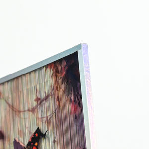 Vente en gros de figurines d'anime en acrylique personnalisées, carte papier A5, waifu, impression holographique UV, art d'animation, planche d'art shikishi, affiche, décoration intérieure - Product Image 6