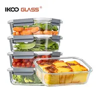 Набор контейнеров из боросиликатного стекла Superior Glass Food Storage Containers Set