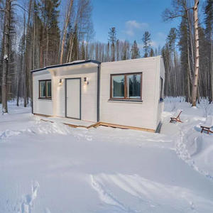 Casa expandible de lujo de 40 pies, casa prefabricada de 20 pies con contenedor de envío a la venta, casas prefabricadas expandibles modernas de dos dormitorios - Product Image 1