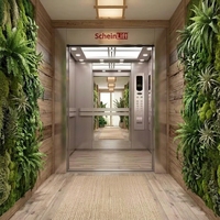 Ascenseur médical au design moderne, construction en acier inoxydable, entraînement par traction, fonctionnement silencieux, sans salle de machine, garantie 1 an