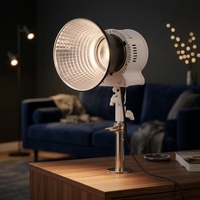DENGWEI LE300Bi 300W Lumière d'appoint vidéo LED COB bicolore en métal OEM CRI 96+ avec télécommande pour studio photo