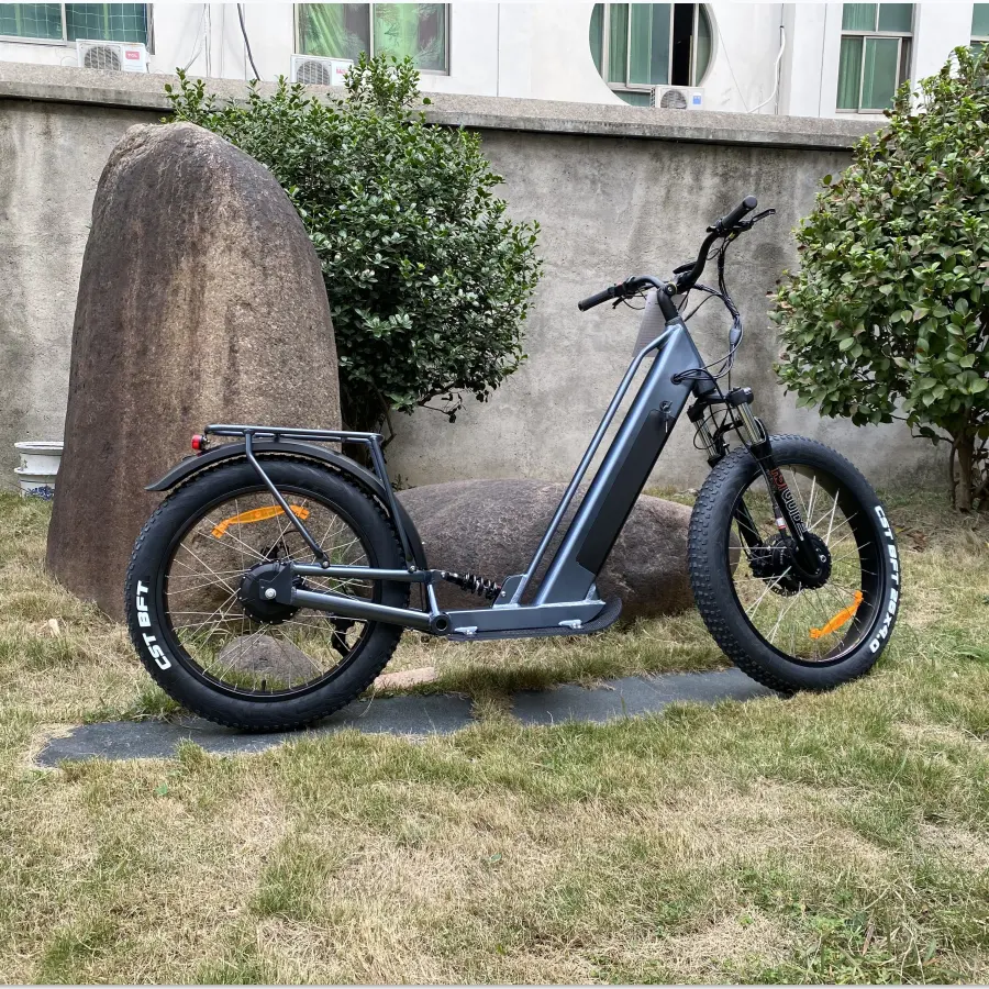 Manufacturer Price Ship Directly 750W Electric Scooters