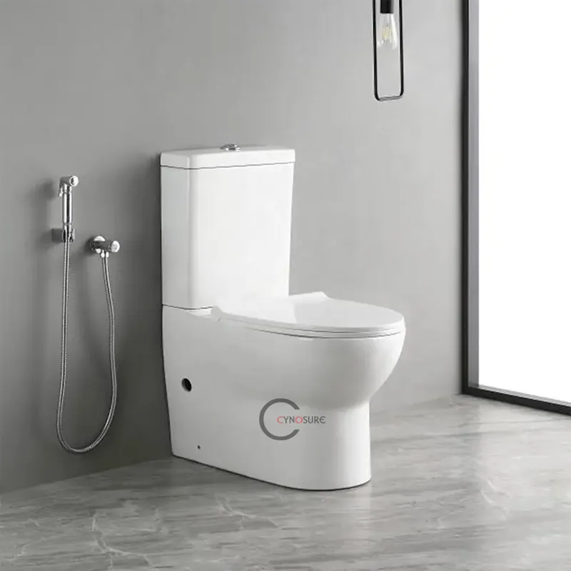 Good Reputation Ceramic Soft Closing Washdown Toilet Chinese Girl Wc Two Piece Toilet