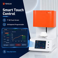 Horno de Sinterización de Porcelana y Zirconia para Laboratorio Dental TENCAN TC-BDF-1L 1700C, Precisión 1C, Elementos Calefactores de MoSi2 para Dientes