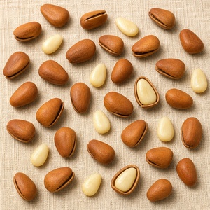 Noix de pin en vrac OEM, coquille ouverte, fendues naturellement, noyaux en forme de goutte, crémeux et croustillants, collation de noix de qualité supérieure, 5 kg - Product Image 3