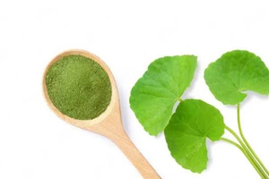 Poudre d'herbes de Gorakhmundi de qualité supérieure, extrait végétal botanique naturel, ingrédient ayurvédique traditionnel pour le bien-être quotidien - Product Image 6