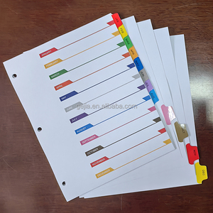 Nhà sản xuất tùy biến chỉ số chia trang với các tab óng ánh 12 tháng Màu Tab kế hoạch chỉ số chia trang - Product Image 4