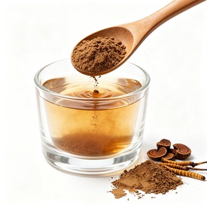 Bulk EU & USDA Certified Food Grade Natural Chaga Cordyceps Bulk Lions Mane Reishi Functional 10 Popular Mushroom Extract Powder - Product Image 3
