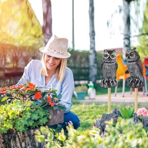 Fausses hiboux décoratifs pour effrayer les oiseaux, dissuasifs à tête rotative, statues d'ennemis de la nature, répulsifs antiparasites pour jardins et patios - Product Image 6
