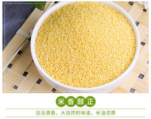 Millet jaune biologique décortiqué du Jilin, de haute qualité, non OGM, vente en gros en provenance de Chine - Product Image 2