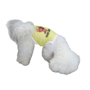 Chaleco de malla fresco de verano para mascotas, transpirable, con estampado de oso, para gatos y perros, tallas XS a 4XL - Product Image 5
