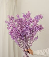 Bouquet de fleurs éternelles Premium Sense True Flower Deco Stained Pansy, décoration de salon, cadeau de bienvenue, Saint-Valentin