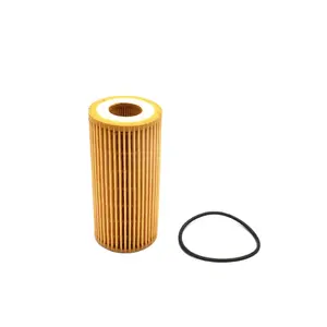 06L 115 562 grosir langsung dari pabrik Filter oli kualitas standar 06L115562 untuk Audi/Seat/VW/PORSCHE Filter