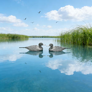 Floating <b>Plastic</b> Grey Duck Realistic Hunting Decoy 43x20x20cm Garden <b>Pool</b> Yard Lake Decor Male Duck DaQin - Product Image 3