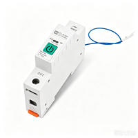 Disjoncteur intelligent Tuya WiFi MCB avec protection contre les surintensités et les fuites à la terre, mesure de la puissance pour contrôle à distance sans fil