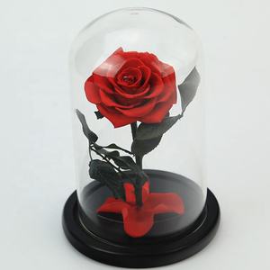 Vente flash eBay, prix bas, roses rouges et roses éternelles, mini petit prince, <span class=keywords><strong>rose</strong></span> préservée dans un dôme en verre - Product Image 1