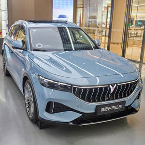 Mobil listrik Voyah, MPV kendaraan energi baru 2022 bekas 4 roda drive kecepatan tercepat Dreamer mobil listrik untuk dijual gratis Voyah - Product Image 1