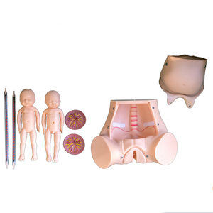 בובת אימון לידה מקיפה עם תינוקות להוראה רפואית - Product Image 6