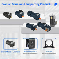 Motor de Inducción Trifásico de Alta Eficiencia IE3 con Control de Velocidad PWM de 6W-200W, Montaje con Brida, Totalmente Cerrado, Marca Derry
