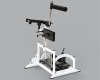 Équipement de musculation commercial, entraîneur dorsal, développeur de chaîne postérieure, machine à dos, machine de musculation pour salle de sport