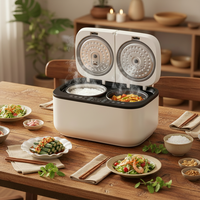 Nouveau produit Appareils de cuisine multi-fonctionnel double cuisinière 5L ménage numérique cuiseur à riz multi-fonctionnel
