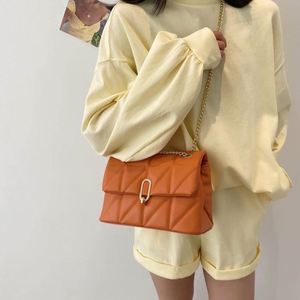 Sac à bandoulière matelassé populaire, sac à chaîne décontracté et tendance, sac pour femme à la mode, petit sac carré de style coréen - Product Image 2