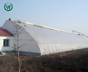 إطار دفيئة زراعية كاملة (بيت محمي شمسي دافئ) لزراعة الخضروات - نفق دفيئة بلاستيكي منخفض التكلفة - Product Image 2