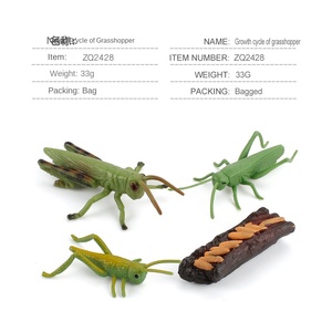 Simulazione del Ciclo di Crescita degli Animali in PVC, Giocattoli Educativi Montessori Fatti a Mano per Bambini: Pollo, Anatra, Oca, Farfalla, Tartaruga, Rana - Product Image 6
