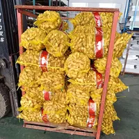 Nuovo zenzero fresco all'ingrosso dai fornitori cinesi per l'esportazione di prezzi di zenzero fresco