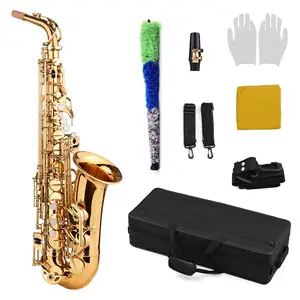 Goudlak E Flat Altsaxofoon Met Case Borstel Poetsdoek