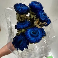 Bunga kering krisan aster warna-warni buatan tangan, bunga kering abadi tahan lama 3-5 Hari Valentine