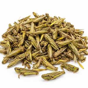 Alimento Liofilizado de Gafate Verde de Alta Proteína de Marca Privada Sino Crown para Reptiles, Peces de Acuario y Mascotas Exóticas - Product Image 5