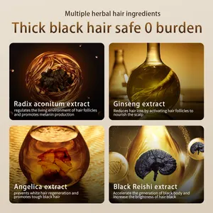 Best Black Reishi Polygonum Multiflorum Nourishes Herbal Hair Beauty Products Natural Anti Hair Loss Black Hair Shampoo