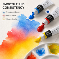 Ensemble de peinture à l'aquarelle de 12 couleurs, tubes de 12 ml, Risa, pigments vibrants transparents, faciles à mélanger, pigments d'artiste, artisanat, kit d'art DIY