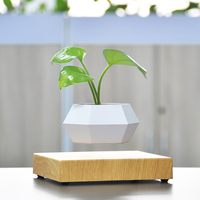 Maceta Flotante Magnética Inteligente de Plástico, Regalos Creativos y Únicos, Decoración para el Hogar con Bonsái en Maceta