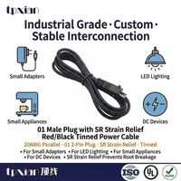 Kabel Rakitan Kustom 01 DC 2 Pin Power Plug ke Ujung Terbuka Tanpa Isolasi untuk LED Strip, Kamera CCTV, dan Kabel Ekstensi Daya