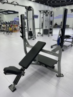 Rosen Sports Fitness Marteau Musculation Musculation Musculation Équipement De Gymnastique Robuste Tube En Acier Galvanisé Banc D'inclinaison