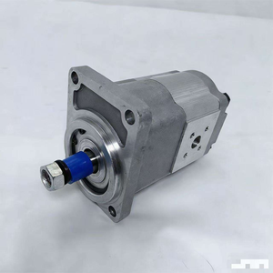 Pompe à engrenages hydraulique à haut couple et basse vitesse CMW-F212.5-CFZS CMW-E216-CFZS CMW-E220-CFZS 20MPa - Product Image 5