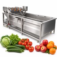 Machine de lavage commerciale pour légumes (peterselie, raisin, laitue iceberg, poivron, piment, poire, pomme, céleri)