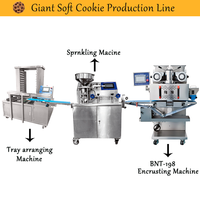 Machine à fabriquer des biscuits géants entièrement automatique, ligne de production de biscuits aux pépites de chocolat, machine à former des biscuits à haute productivité