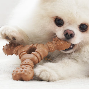 Jouets à mâcher pour chiens durables de qualité supérieure, fournis directement par l'usine, pour soulager l'ennui et stimuler l'utilisation quotidienne, os pour usage quotidien - Product Image 4