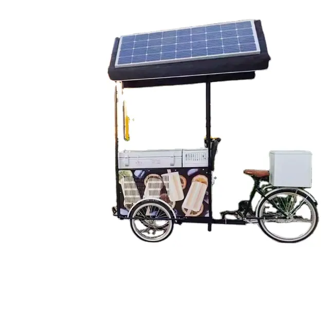 Personalizza il moderno chiosco per alimenti all'aperto Design Mobile veloce indiano Street Food carrello triciclo vendita calda bici Fast Food stand