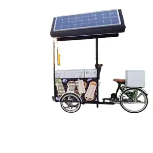 Passen Sie modernes Outdoor-Lebensmittel-Kiosk-Design an Mobile Fast Indian Street Food Cart Dreirad Hot Sale Bike Fast Food Stand