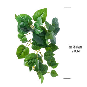 Plante Artificielle CallaFloral, Branche Unique en PVC Brillant, Décoration Intérieure, Couleur Verte MW16303 - Product Image 4