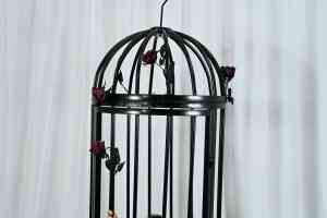 Drop shipping BDSM schiavo di addestramento oggetti di scena per appendere la gabbia di sospensione grande sala di addestramento flirtare gabbia per sesso umanoide altri prodotti sm - Product Image 3