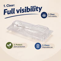 Boîte d'expédition transparente en blister PET pour semis de plantes vivantes, emballage en clamshell