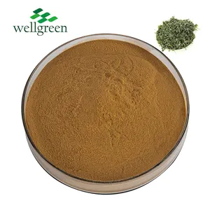 Factory Supply 98% 25% Dihydromyricetin Ampelopsis Grossedentata Leaf Food And Feed Grade Vine Tea Extract