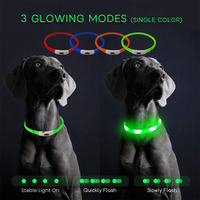 Collier d'accessoires pour animaux de compagnie en silicone rechargeable avec logo imprimé OEM Collier de chien à LED clignotante personnalisé