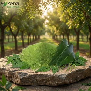 Fabricant d'extrait de poudre de Neem, fournisseur en gros de poudre de Neem de qualité, extrait de feuilles de Neem, poudre à base de plantes - Product Image 1